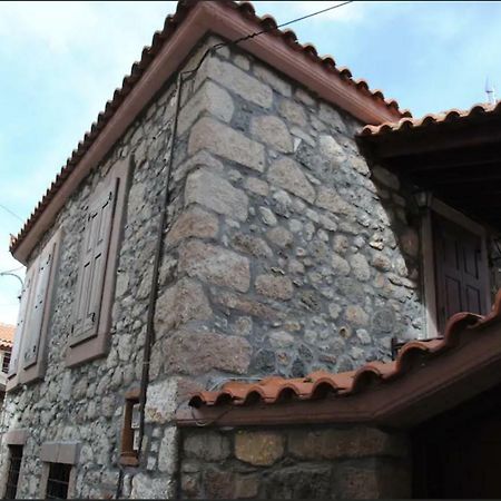 Wood And Stone In The Path Of Lava Villa Antissa Luaran gambar