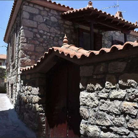 Wood And Stone In The Path Of Lava Villa Antissa Luaran gambar