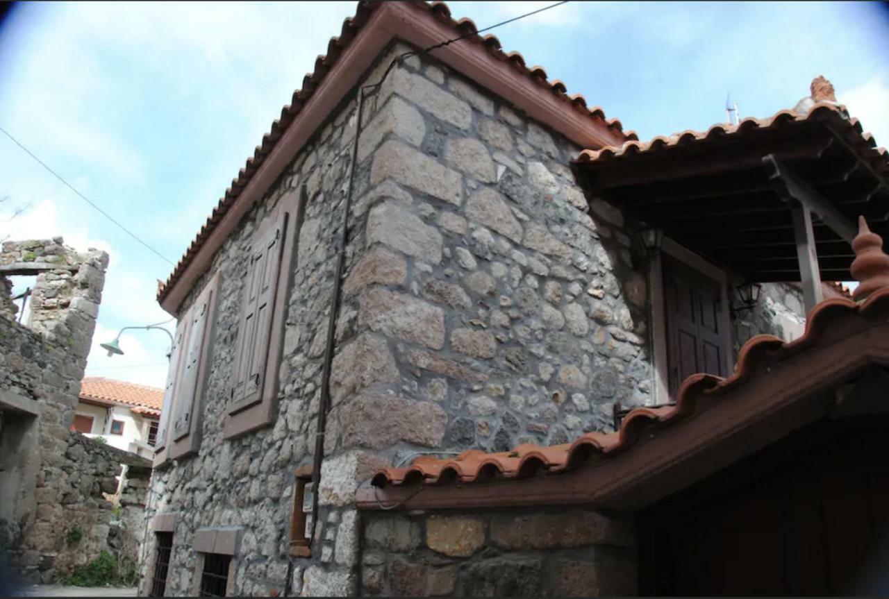 Wood And Stone In The Path Of Lava Villa Antissa Luaran gambar