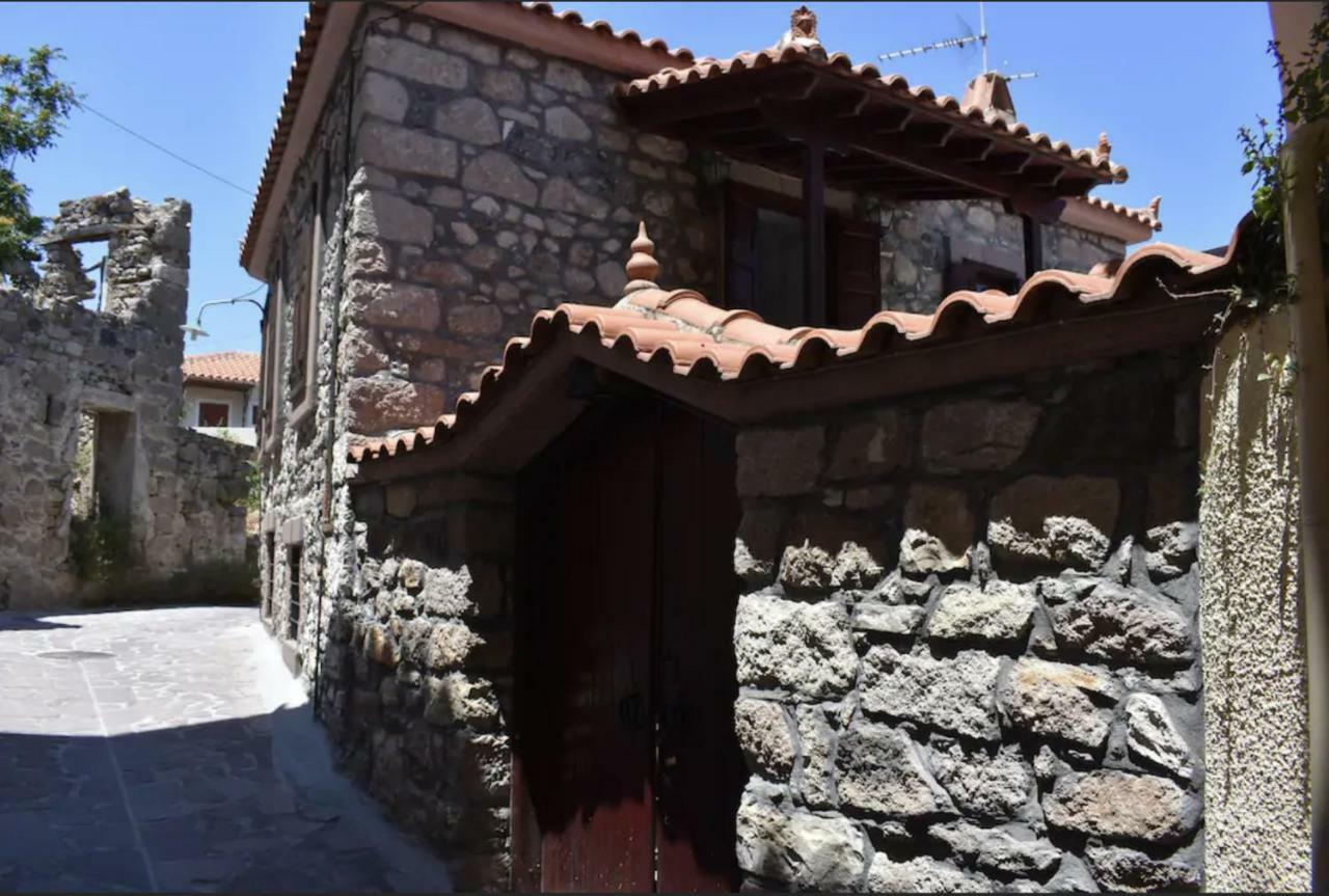 Wood And Stone In The Path Of Lava Villa Antissa Luaran gambar